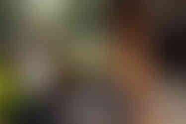 Kalamba Brick House 09