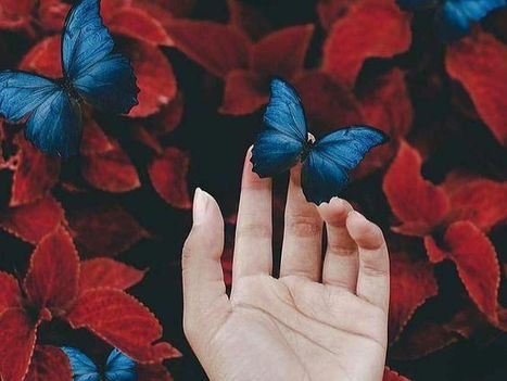 Conecte-se e viva o Agora!