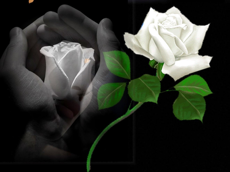 Gratidão, Madrinhas!