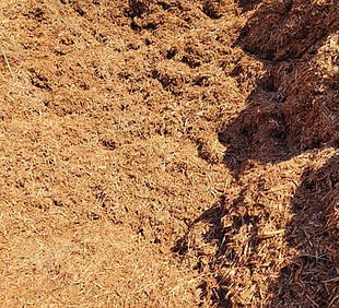 PlaygroundMulch.jpg