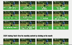 video-vault-ss.gif