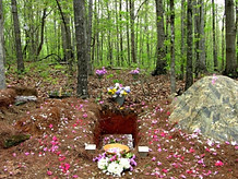 green-burial-01_edited.jpg