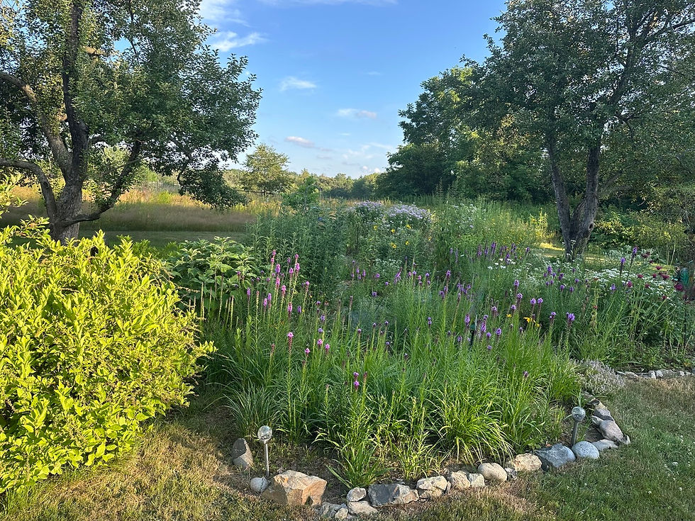 Native Garden Stroll