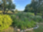 Native Garden Stroll