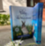 Thumbnail: "Ebby the Magnificent" Deluxe Hardback First Edition