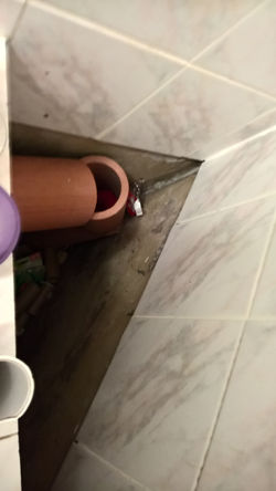 Guest Loo corner issue