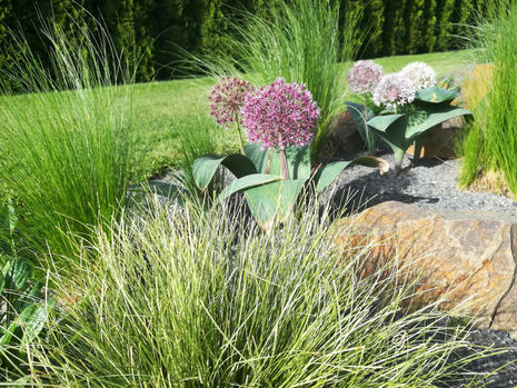 trvalky v zahradě | realizace zákazník