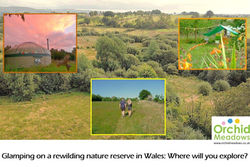 A photo montage shows a nature reserve with insets of a yurt, a glampavan and a couple walking