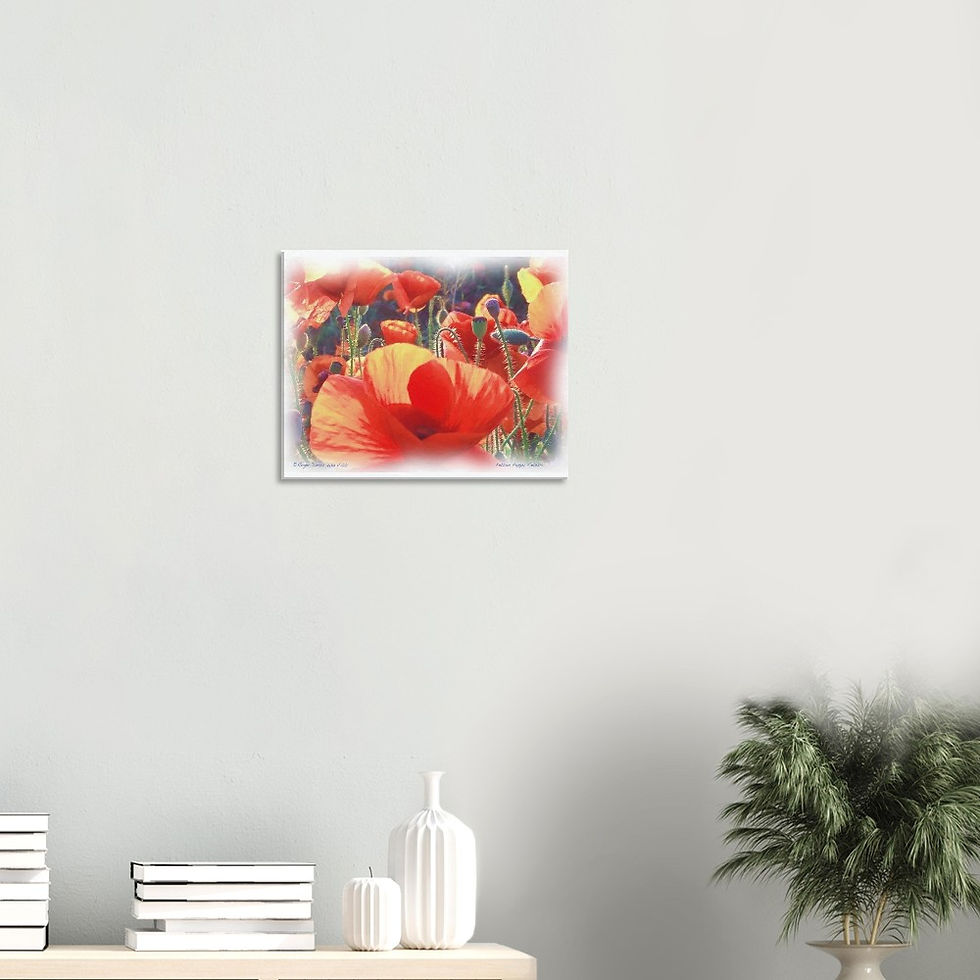 Thumbnail: Petton Poppy Fields_1