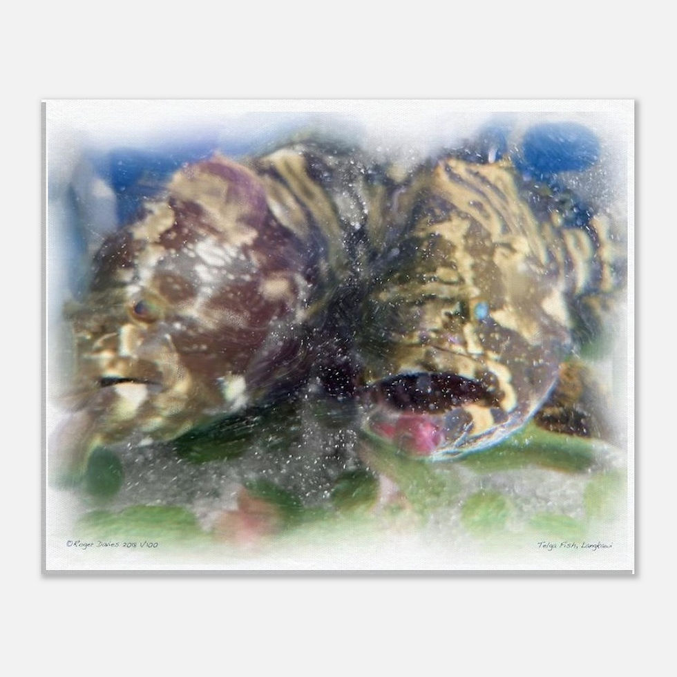 Thumbnail: Telag Fish Langkawi