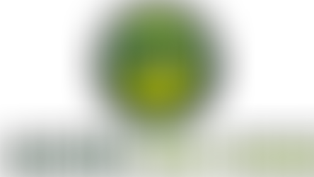 Objetivos principales 2017