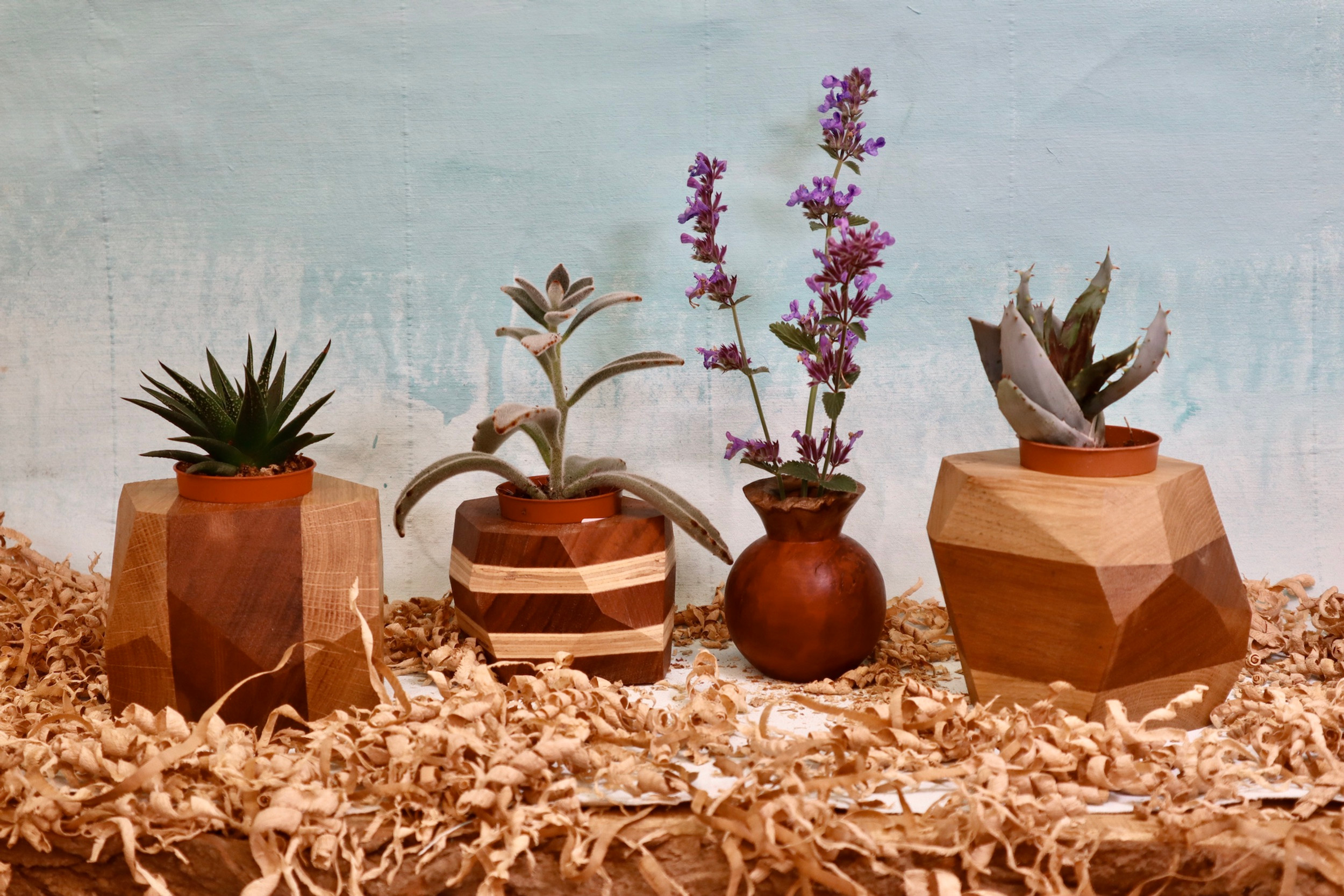 Variety of small plant pots and weed pots & vases