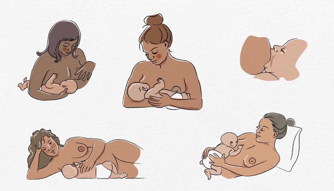different positions to feed a baby, illustrations created for a breastfeeding brochure for First Nations women