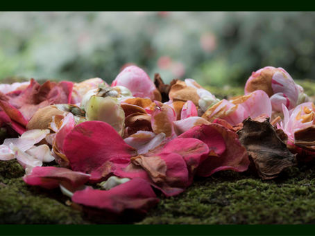 Vel blåst er det noe som heter.