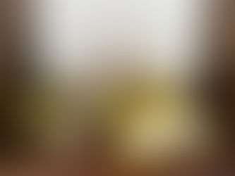 NÅR SANSENE SNAKKER