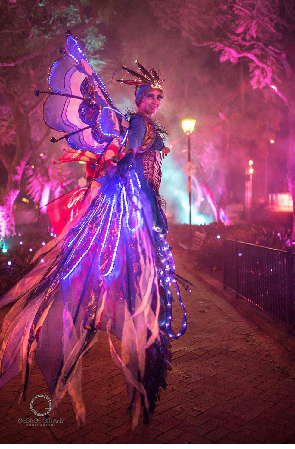 LED BIRDS OF PARADISE