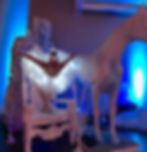 LED BALLERINA