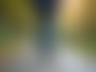 Master the Art of Walking with a Stick: Techniques for Heel-to-Toe Gait and Proper Posture