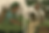OpenAI, Modern Slavery in Global Supply Chains: The situation of Tea Workers in Bangladesh and Cocoa Farmers in Ivory Coast, Digital image