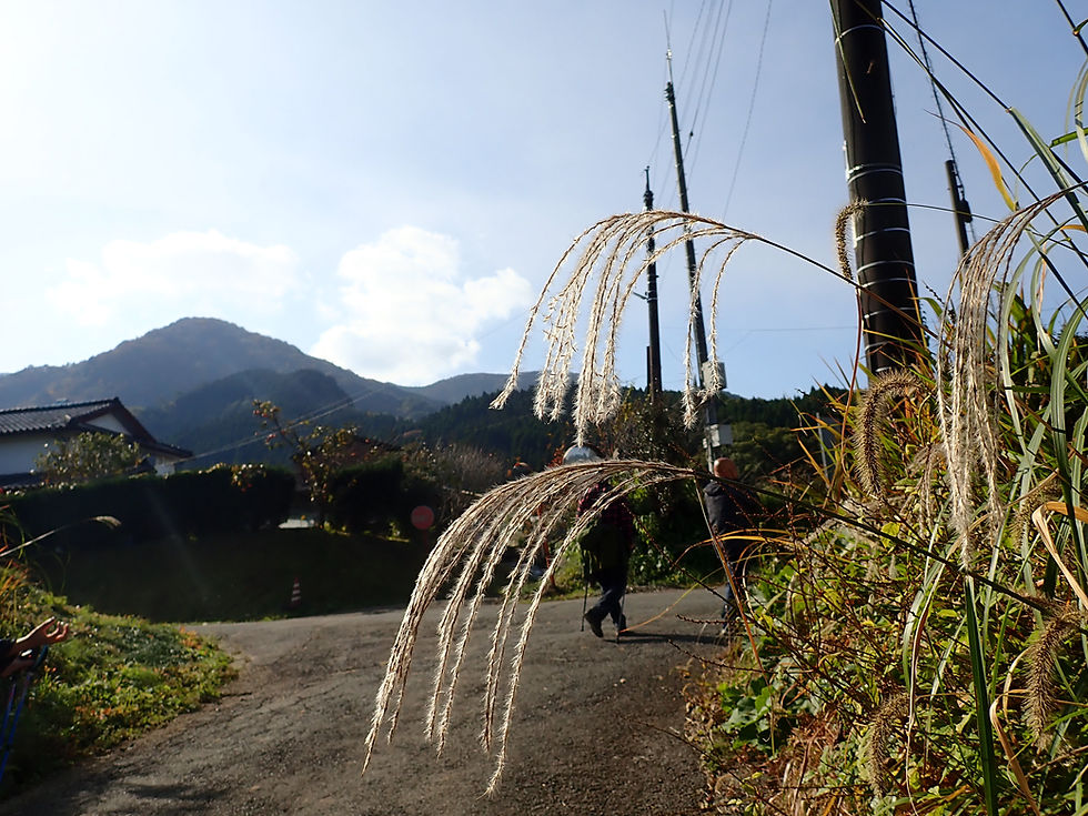 ３大野コースの様子