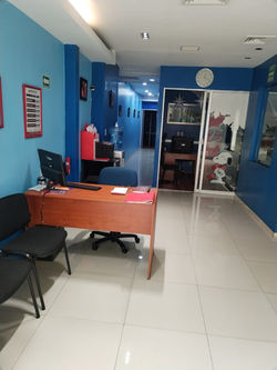 Recepción Ánimas 1