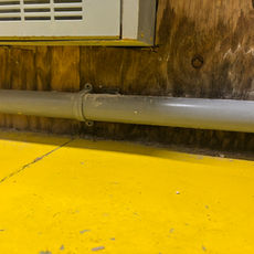 Signs You Need a Professional Mold Inspection Today