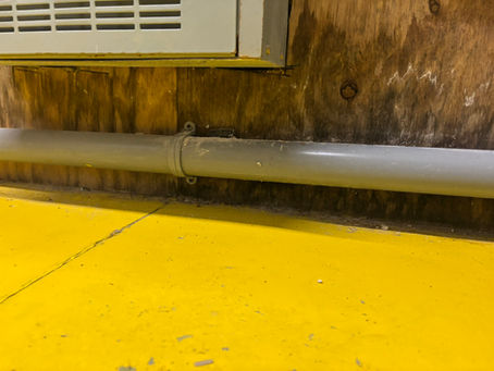 Signs You Need a Professional Mold Inspection Today