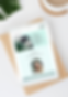 Julia Hope Wix Template for Therapists