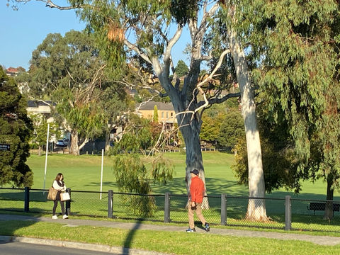 St Stephens Greythorn Cricket Club