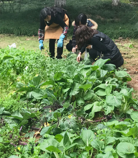 Nimble Group Climate Zero
