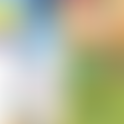 March 2026 Newsletter