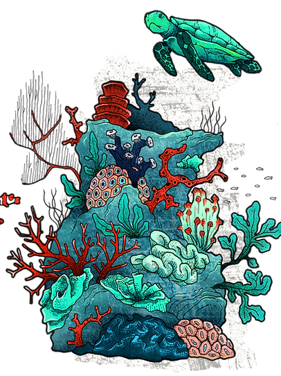 Underwater Coral Scene_edited.png