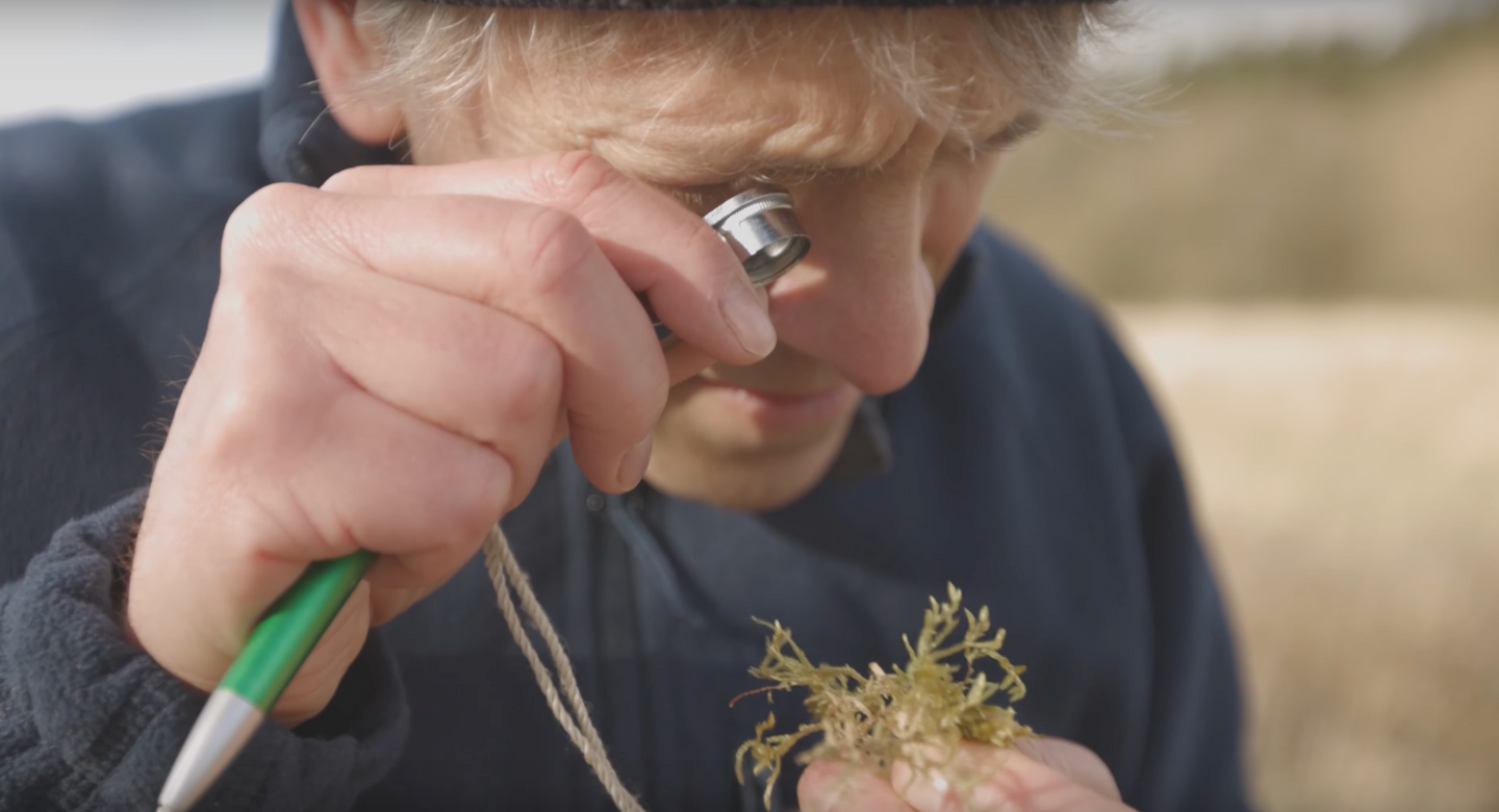 bog brecon beacons national park 