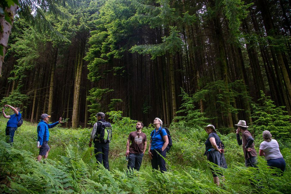 Community members and Natural Resources Wales employees standing in the forest looking at the trees around Treherbert.