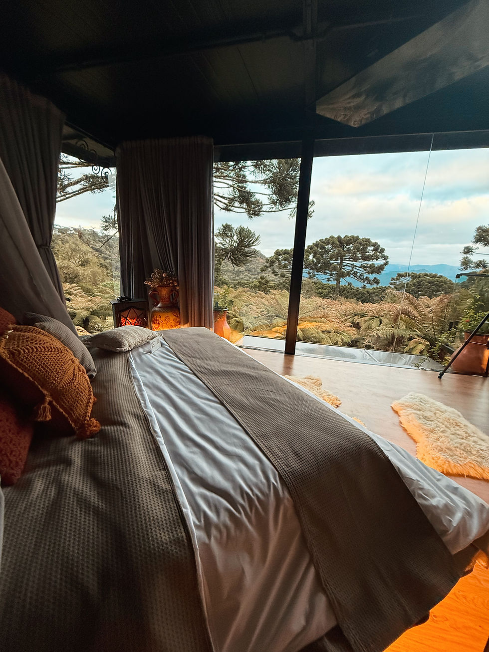 Quarto de cabana com cama confortável e vista para um bosque de araucárias