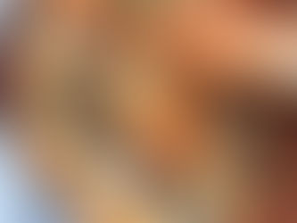 Roasted Pepper & Tomato Pasta