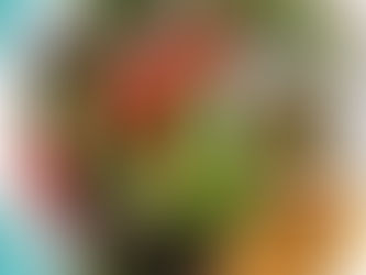 Grilled Garden Salad