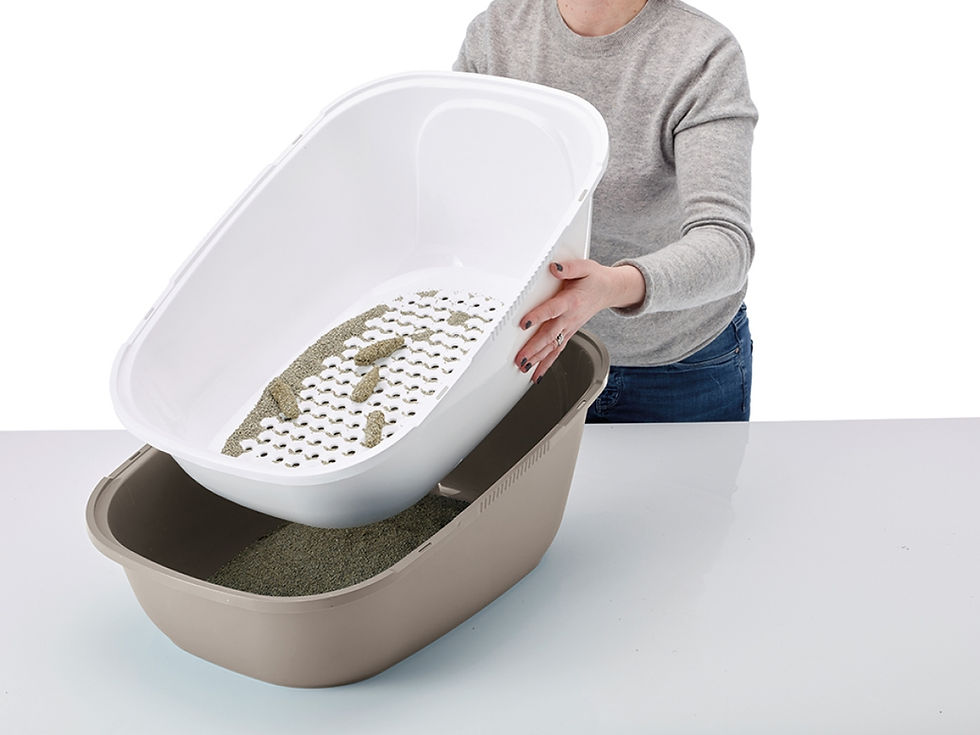 Thumbnail: Reina Sift | Cat Litter Box with Sieve
