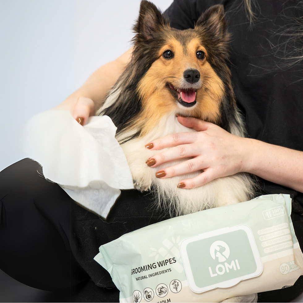 Thumbnail: LOMI | XLarge | Aloe Vera & Chamomile Grooming Wipes | Bundle (x4) (x4)