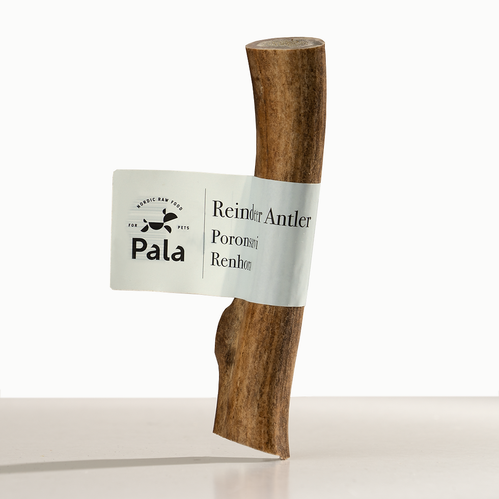 Thumbnail: Reindeer Antler