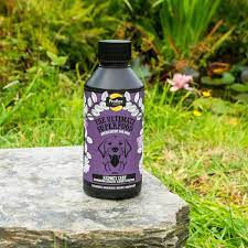 Thumbnail: Kidney Care Oil For Dogs: The Ultimate Superfood