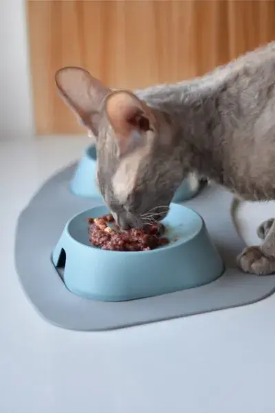 Thumbnail: Smile Pet Food Mat Base for Bowls