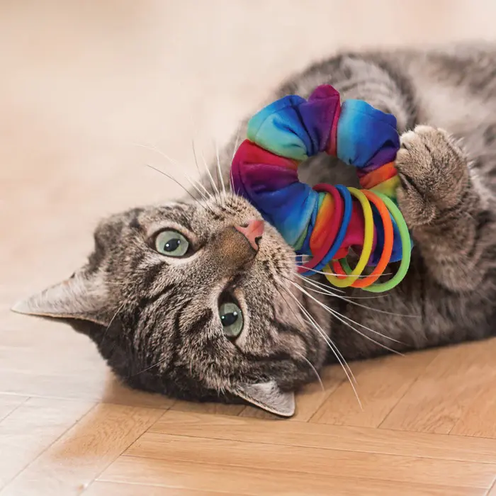 Thumbnail: KONG Feline Active Scrunchies