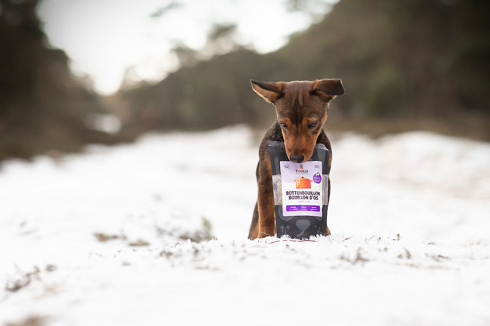 Thumbnail: YDOLO Bone Broth Wild Moose
