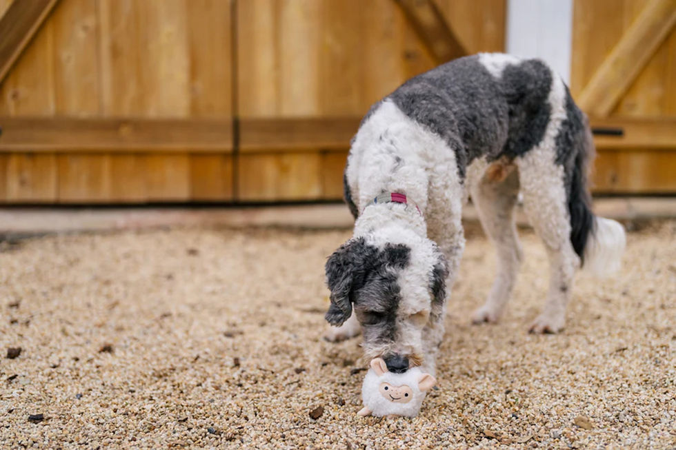 Thumbnail: Sadie the Sheep: Part of The Barnyard Buddies Collection