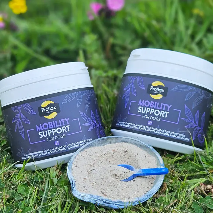 Thumbnail: Mobility Support Powder 350g, For Dogs