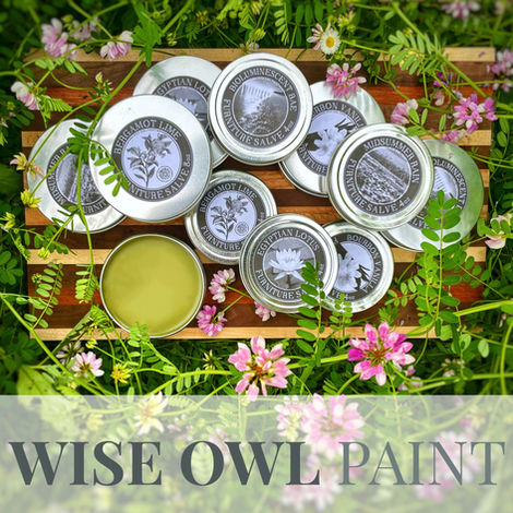 WISE OWL SALVE
