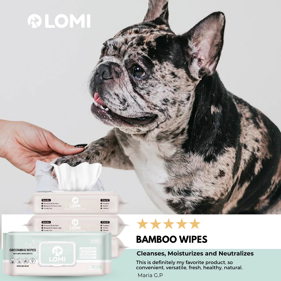 Thumbnail: LOMI | XLarge | Aloe Vera & Chamomile Grooming Wipes | Bundle (x4) (x4)