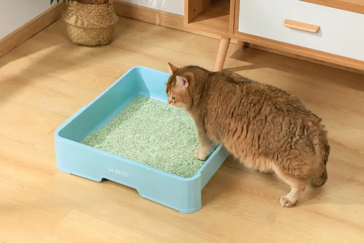 Thumbnail: Green Tea Soya, Organic Cat Litter
