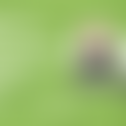 Nueva investigación sobre la policitemia vera: el ensayo clínico de Divesiran con Silence Therapeutics